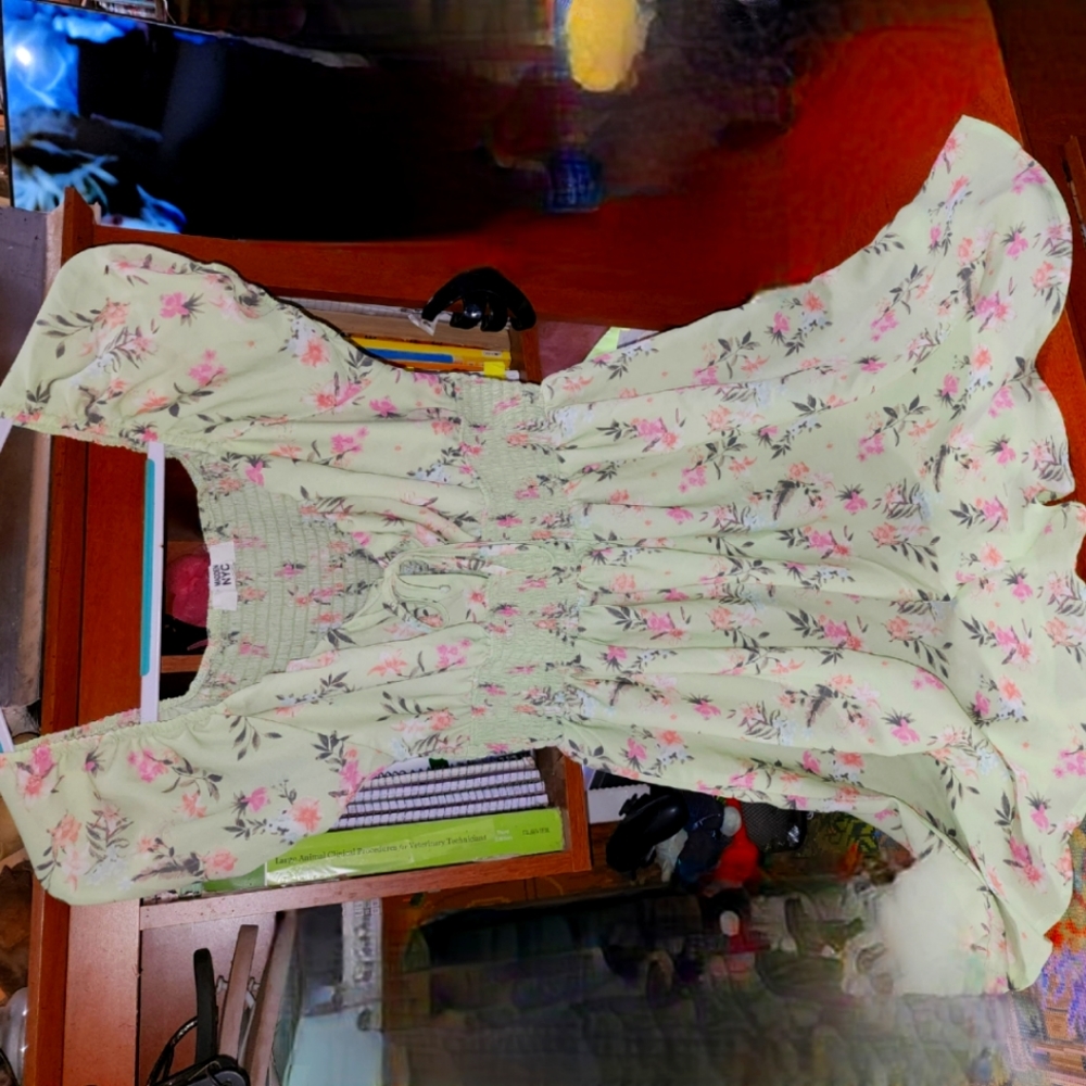 Madden NYC Dress (Large)